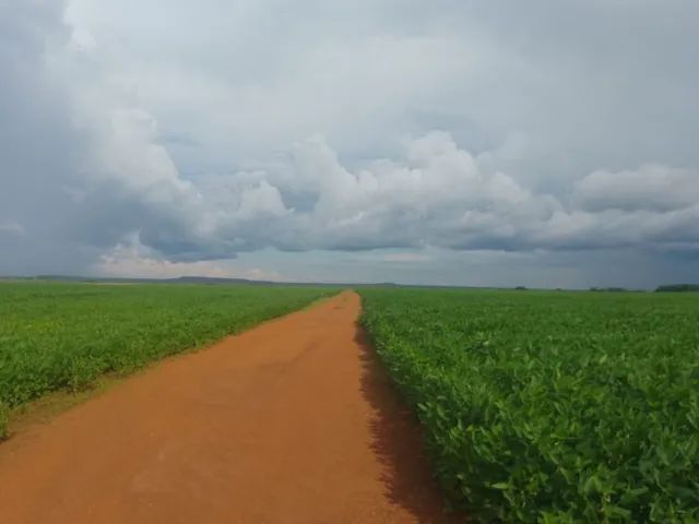 Fazenda de 300 alqueires 75 km de Palmas-TO - Foto 2