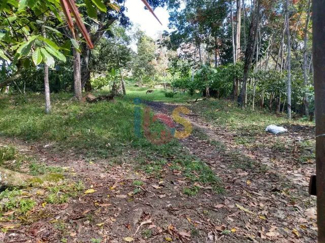 Terreno no Savóia