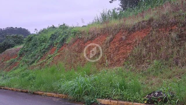 Lindo Terreno no Amizade - Foto 3