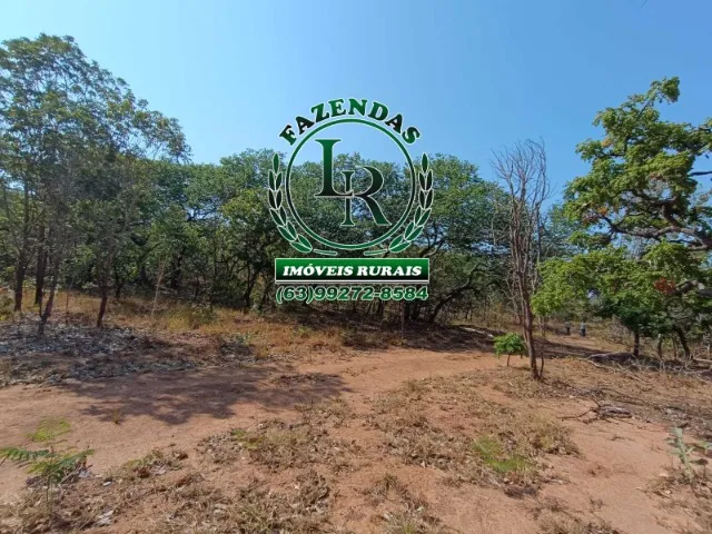 Fazenda 105 Alqueires Bruta