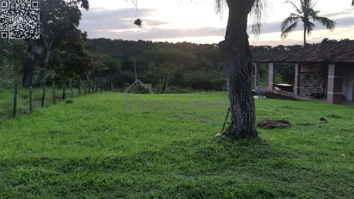 Paudalho  Sítio  Sítio em Paudalho, porteira fechada, 5 hectares - Foto 14