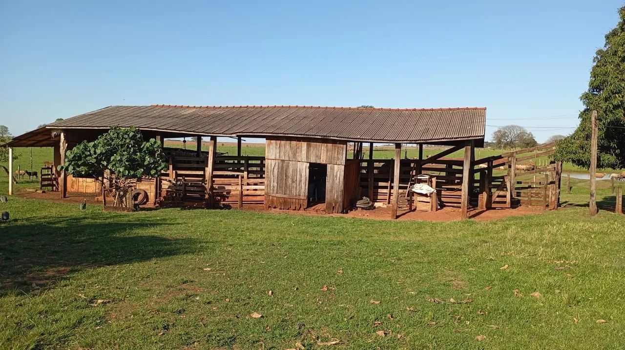 Madeiras Rústicas de Demolição - Tábuas, Palanques, Caibros e Vigas<br> - Foto 2