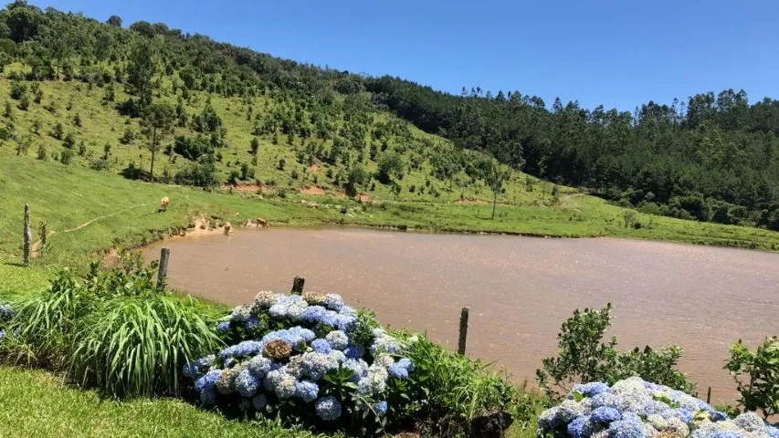 Excelente Terreno Rural com 53,1 Hectares - Taió/SC