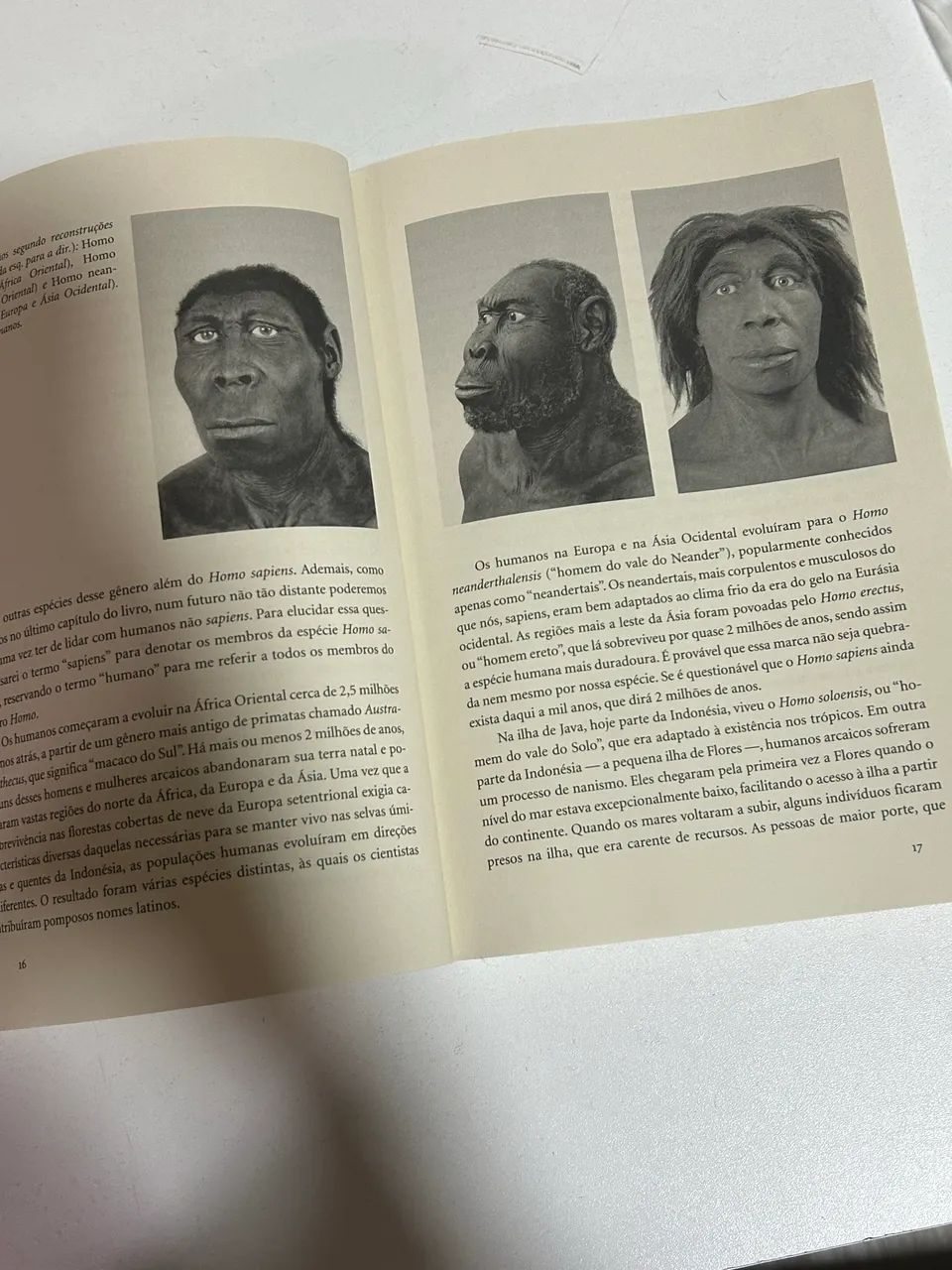 Sapiens - Excelente estado - Foto 3