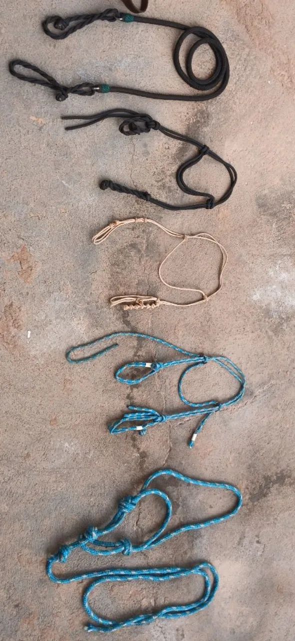 Arreio completo  - Foto 5