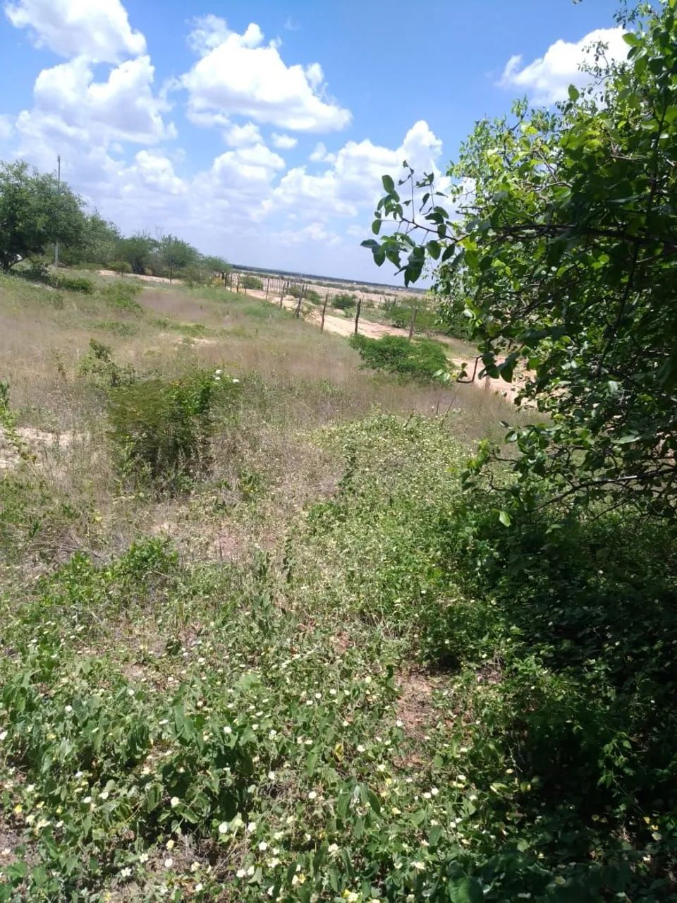 Terreno a sua espera  - Foto 3