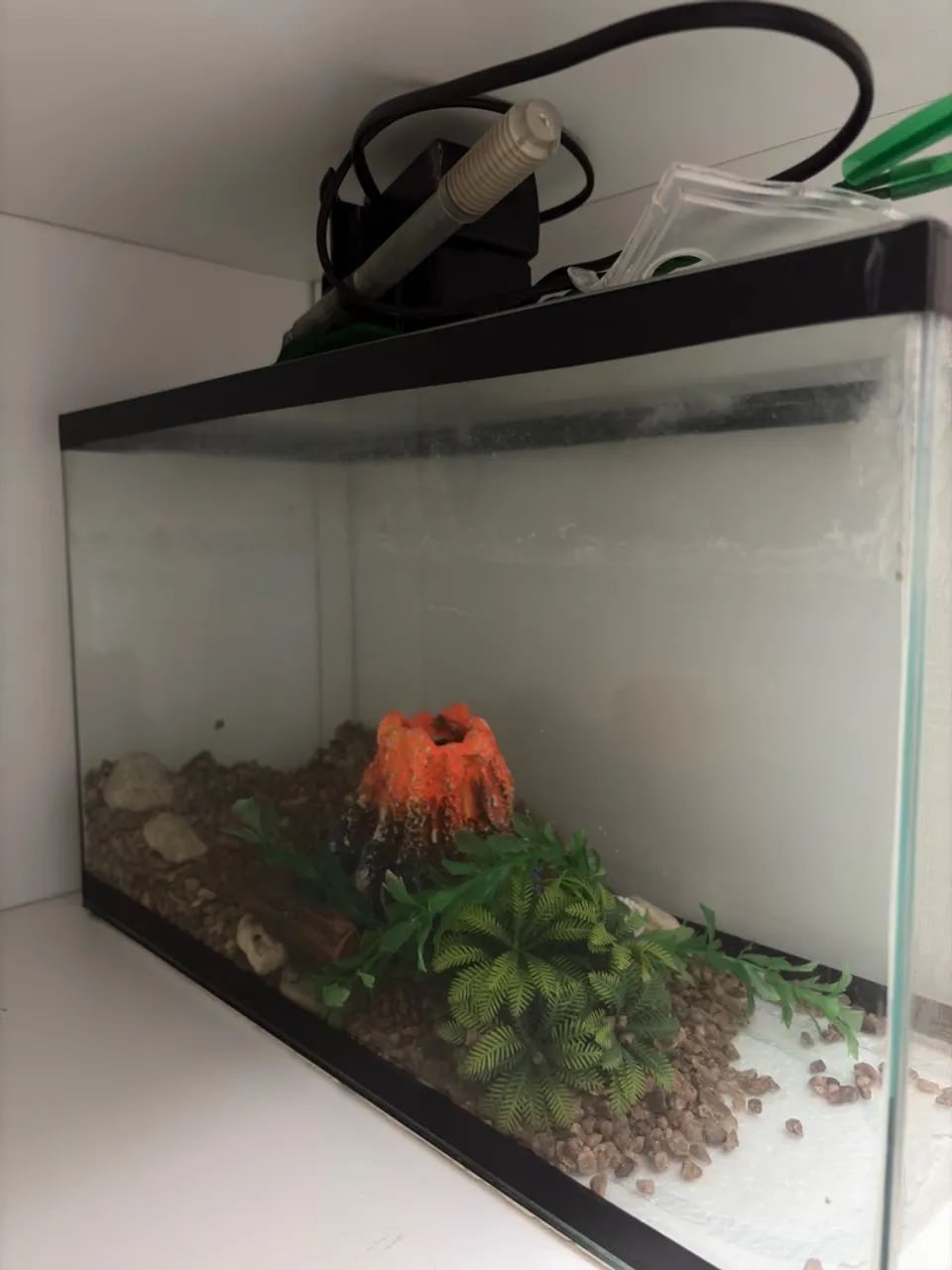 Aquário 15L + Acessórios Smart