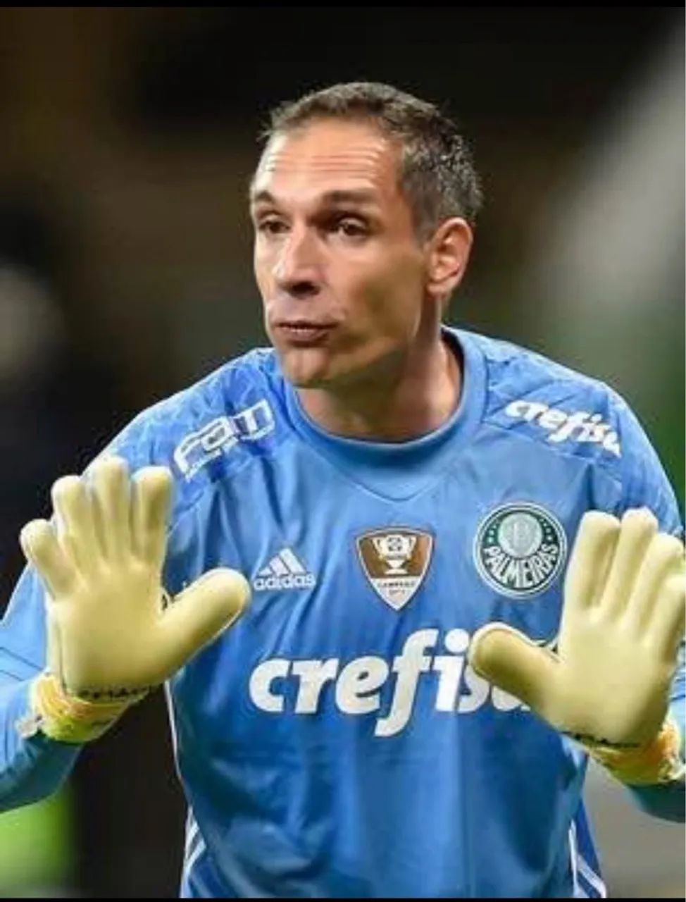 Camiseta Goleiro Palmeiras Azul - G - Foto 3
