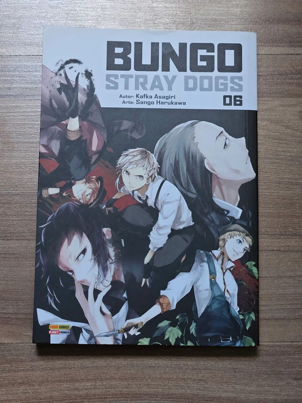 Bungo Stray Dogs Volume 06