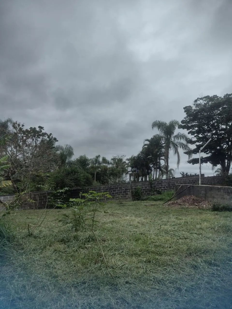 Foto - São José dos Campos - Recanto dos Pinheiros