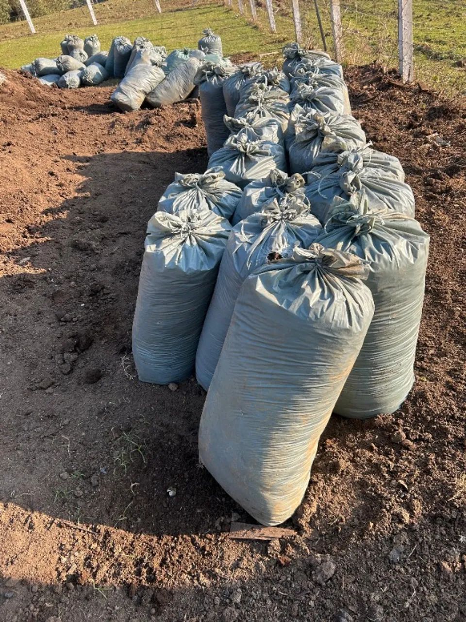 ESTERCO DE CARNEIRO ADUBO ORGÂNICO - Foto 5