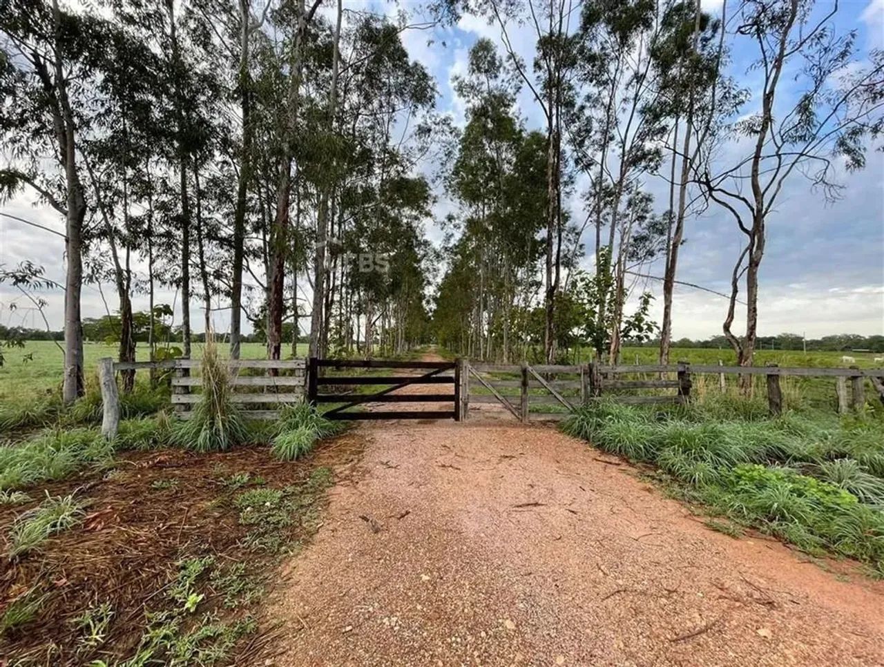 Fazenda na Regiao de Cocalinho - MT