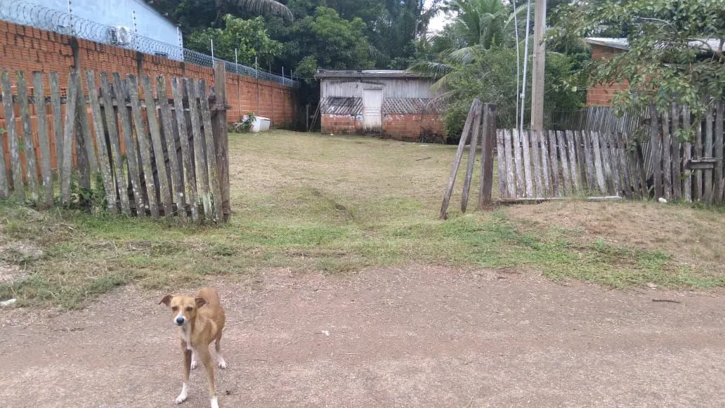 No Belo Jardim 1,muito barata 23mil