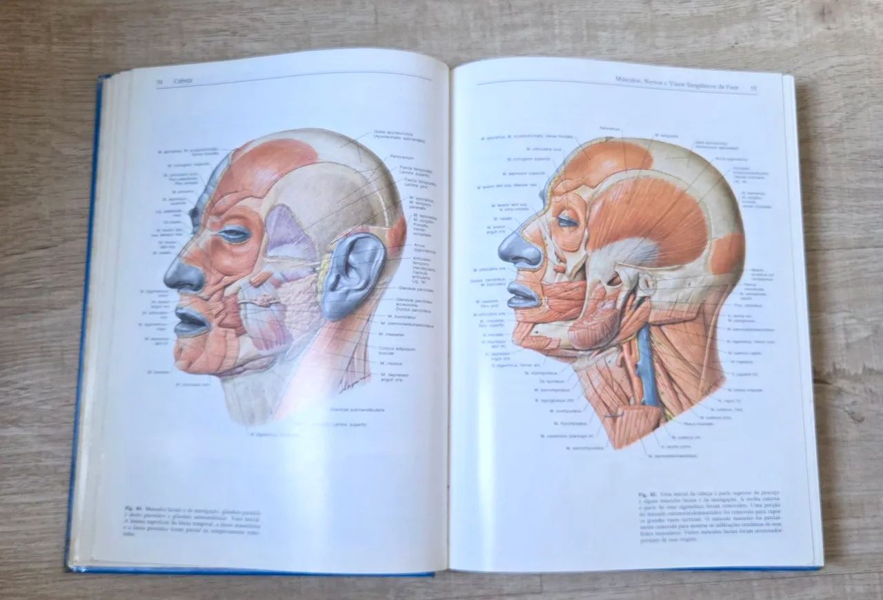 Atlas de Anatomia Humana Sobotta - Volume 1 e 2 - Foto 4