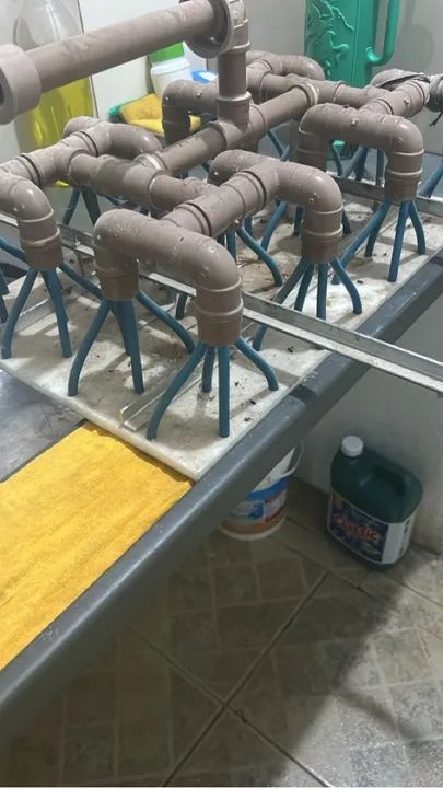 Máquina de produção de biscoito de polvilho  - Foto 3