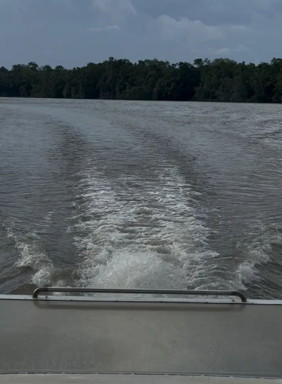 Chegou a Lancha/Barco dos teus sonhos  - Foto 8