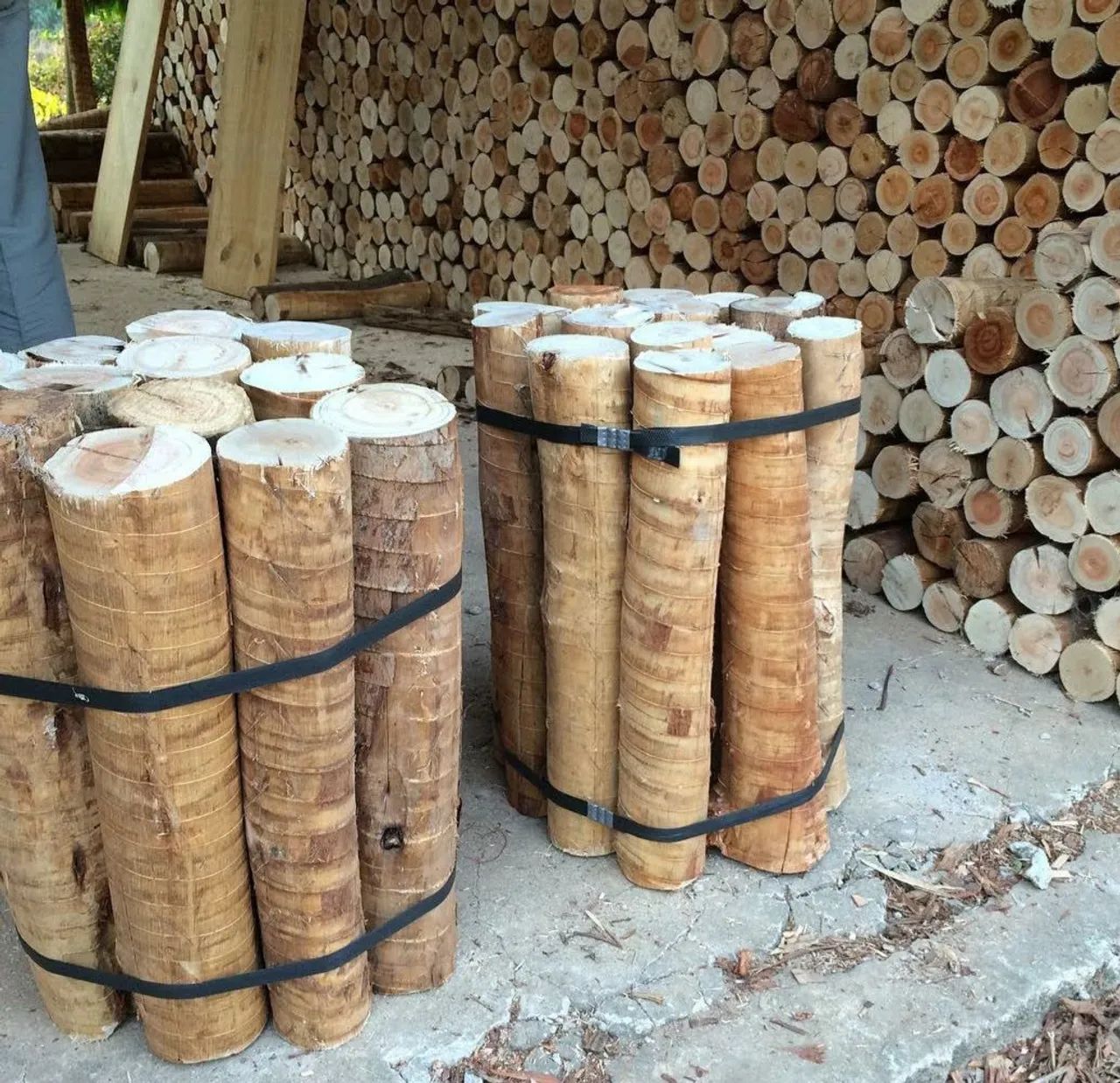 Lenha e carvão eucalipto  - Foto 2