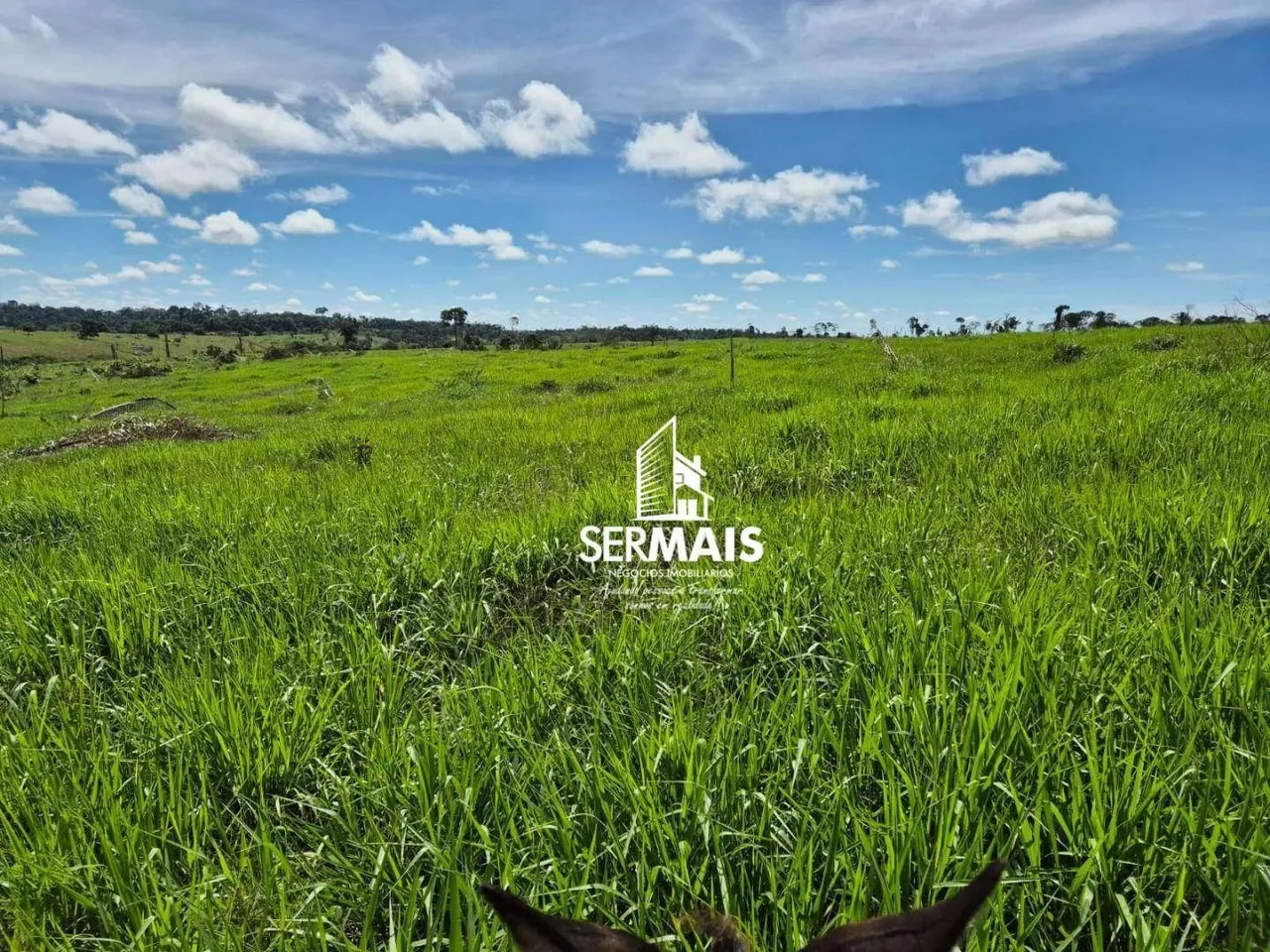 Propriedade com 48 alqueires à venda Valor total: R$ 2.400.000,00