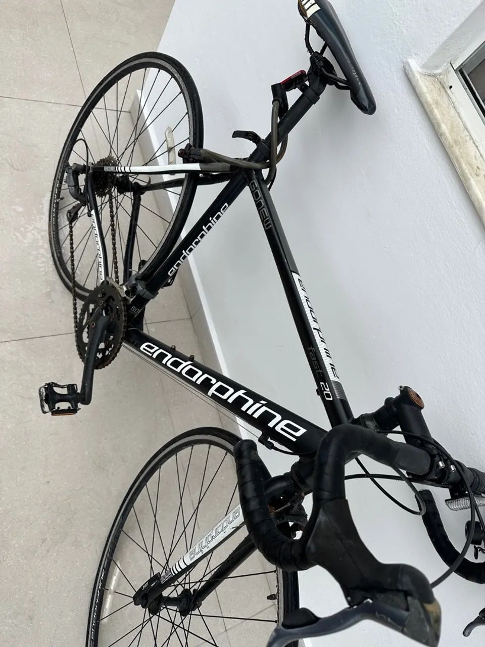 Bicicleta GONEW Endorphine Fast 20 Ciclismo Cordeiros, Itajaí