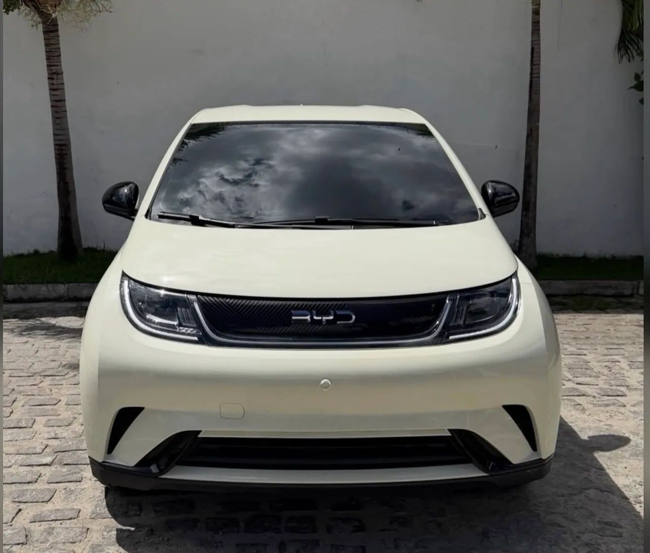 BYD Dolphin Mini GL 2025