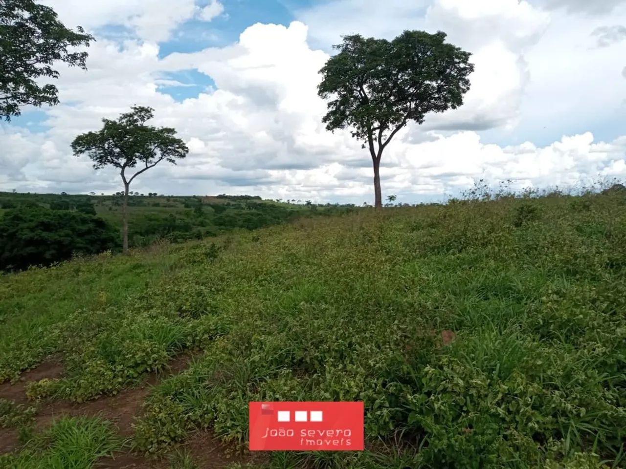 Fazenda para Venda em Campinápolis - Foto 5