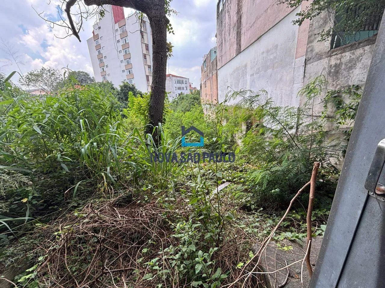 Área ZM - Jardim da Glória - Foto 5