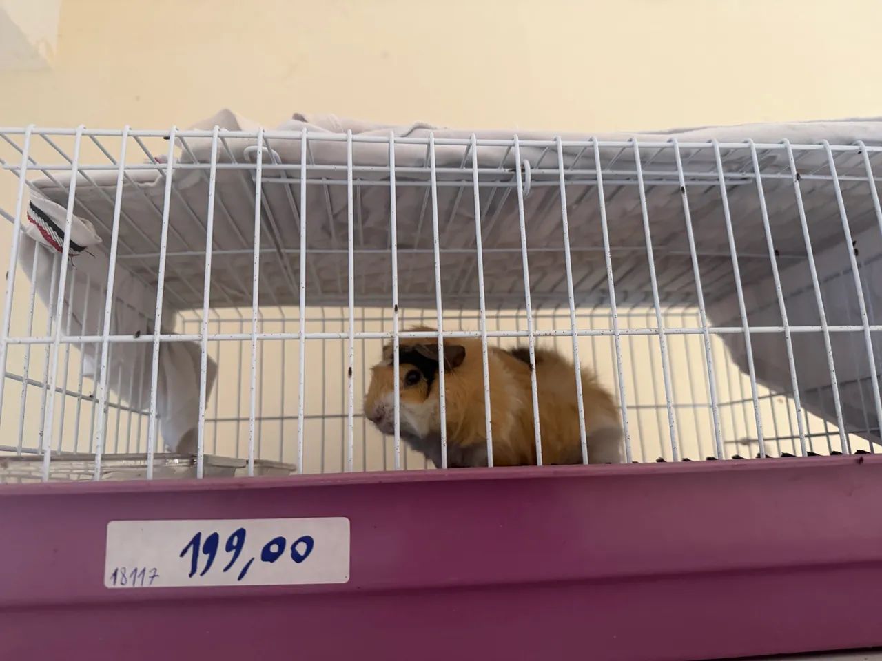 Vendo ramister com gaiola  - Foto 2