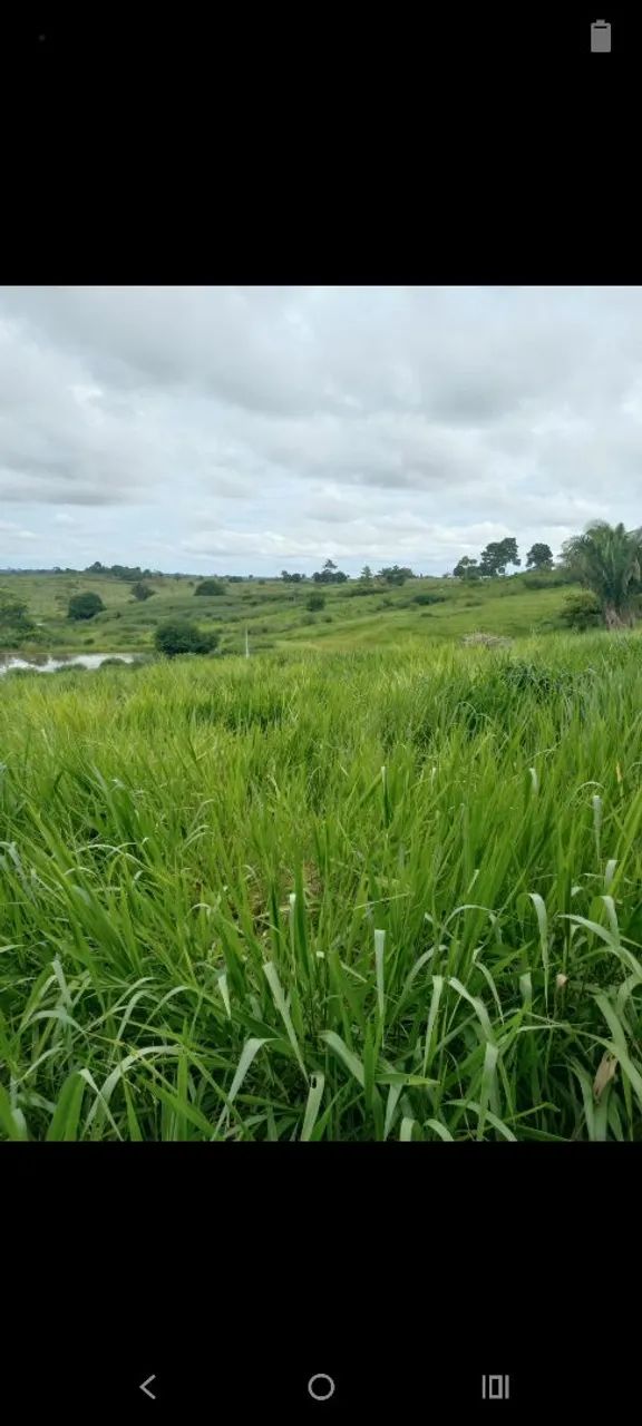 Vende se essa Área  - Foto 5