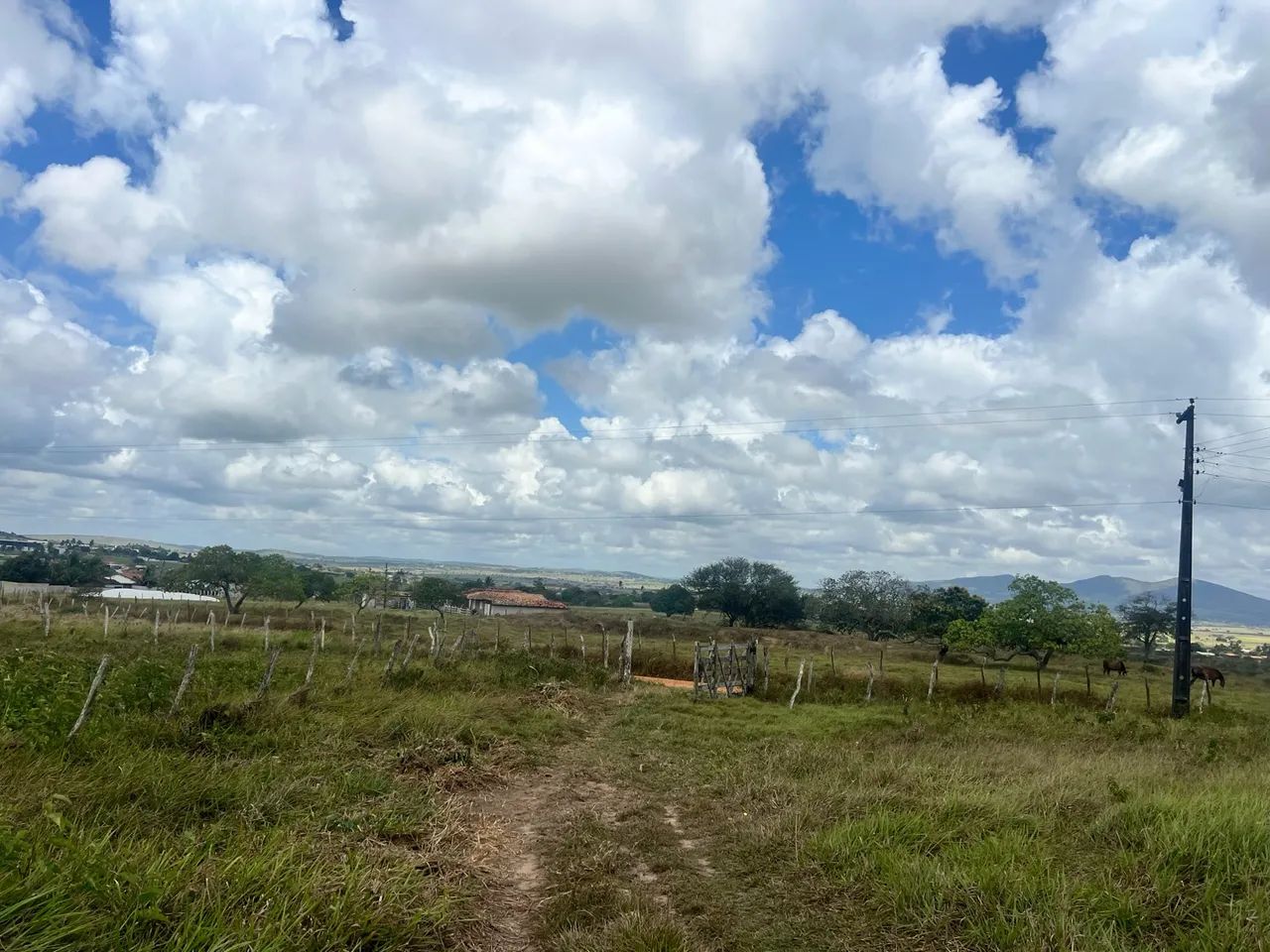 VD SÍTIO 22 TAREFAS EM CAMPO DO BRITO - Foto 5