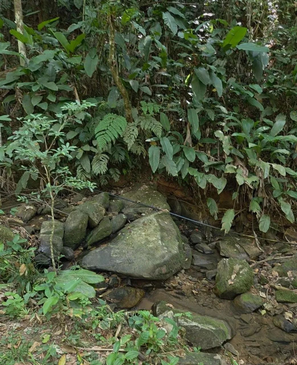 Terreno para sítio com água e energia - Foto 5
