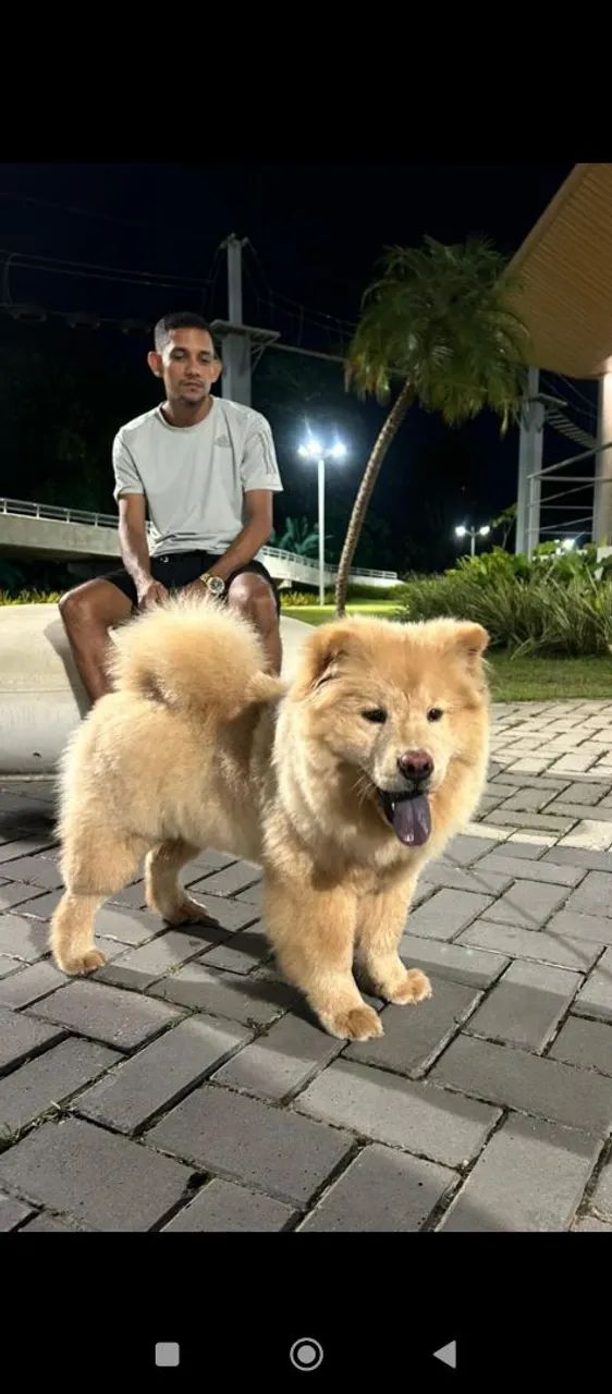 Estou a procura de uma namorada ? - Foto 3