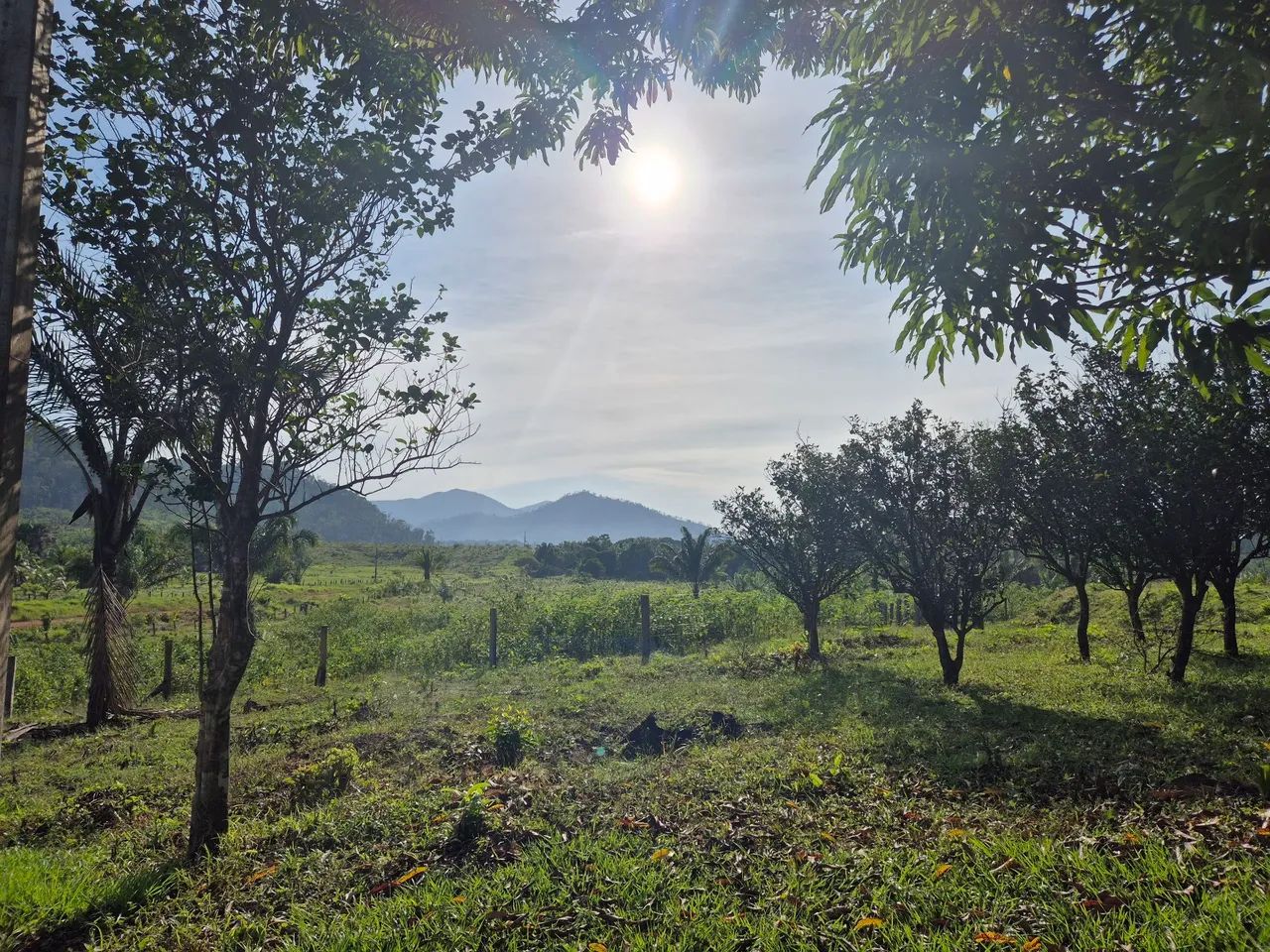 Sítio Flores da Serra  - Cantá/RR