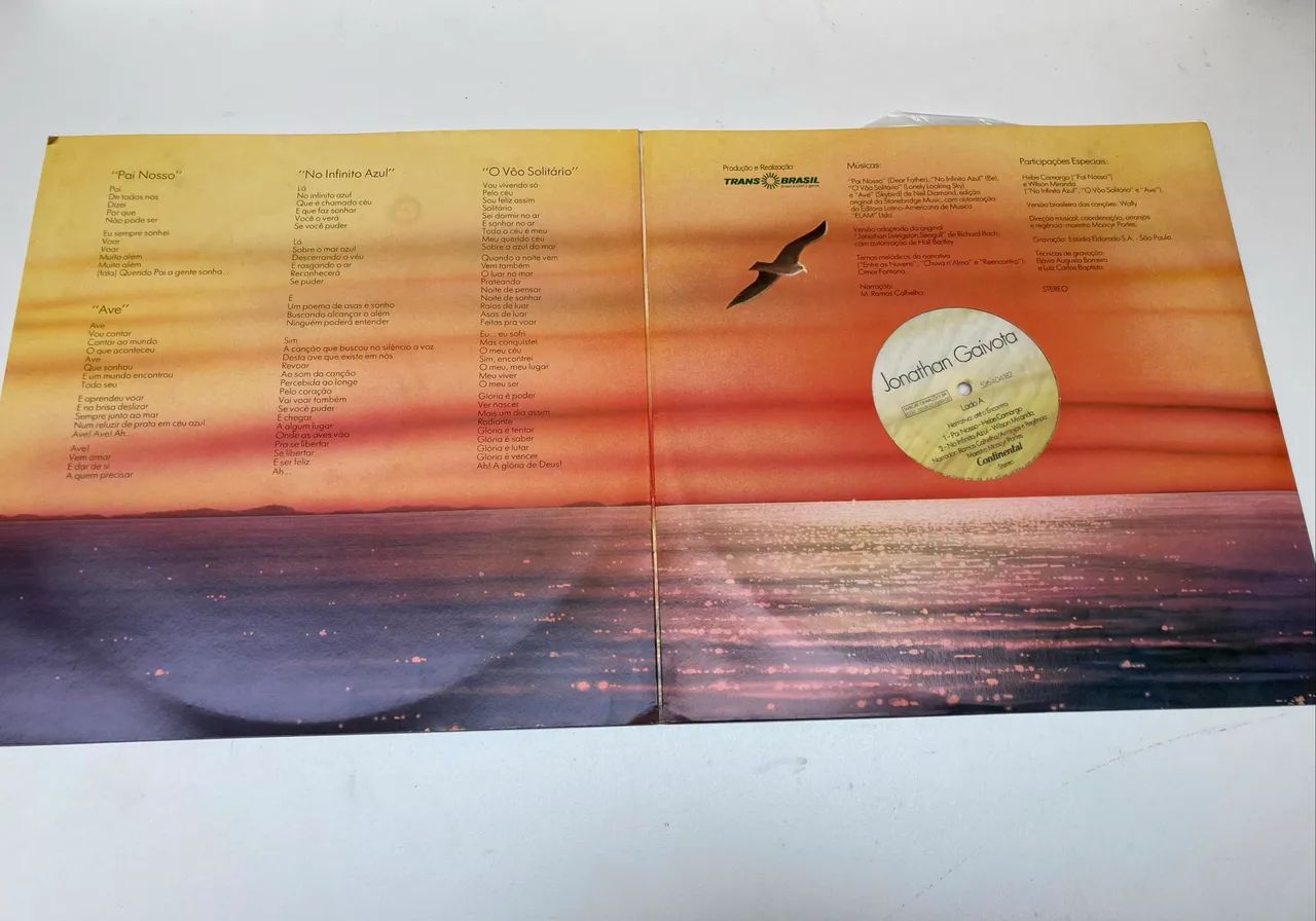 Vinil Jonathan Gaivota  - Foto 4