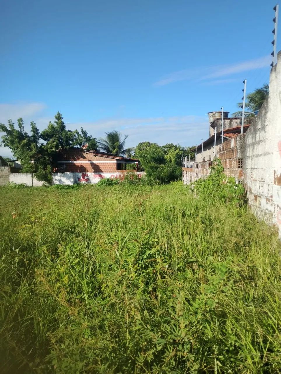Vendo terreno 12x30 em Lucena  - Foto 2