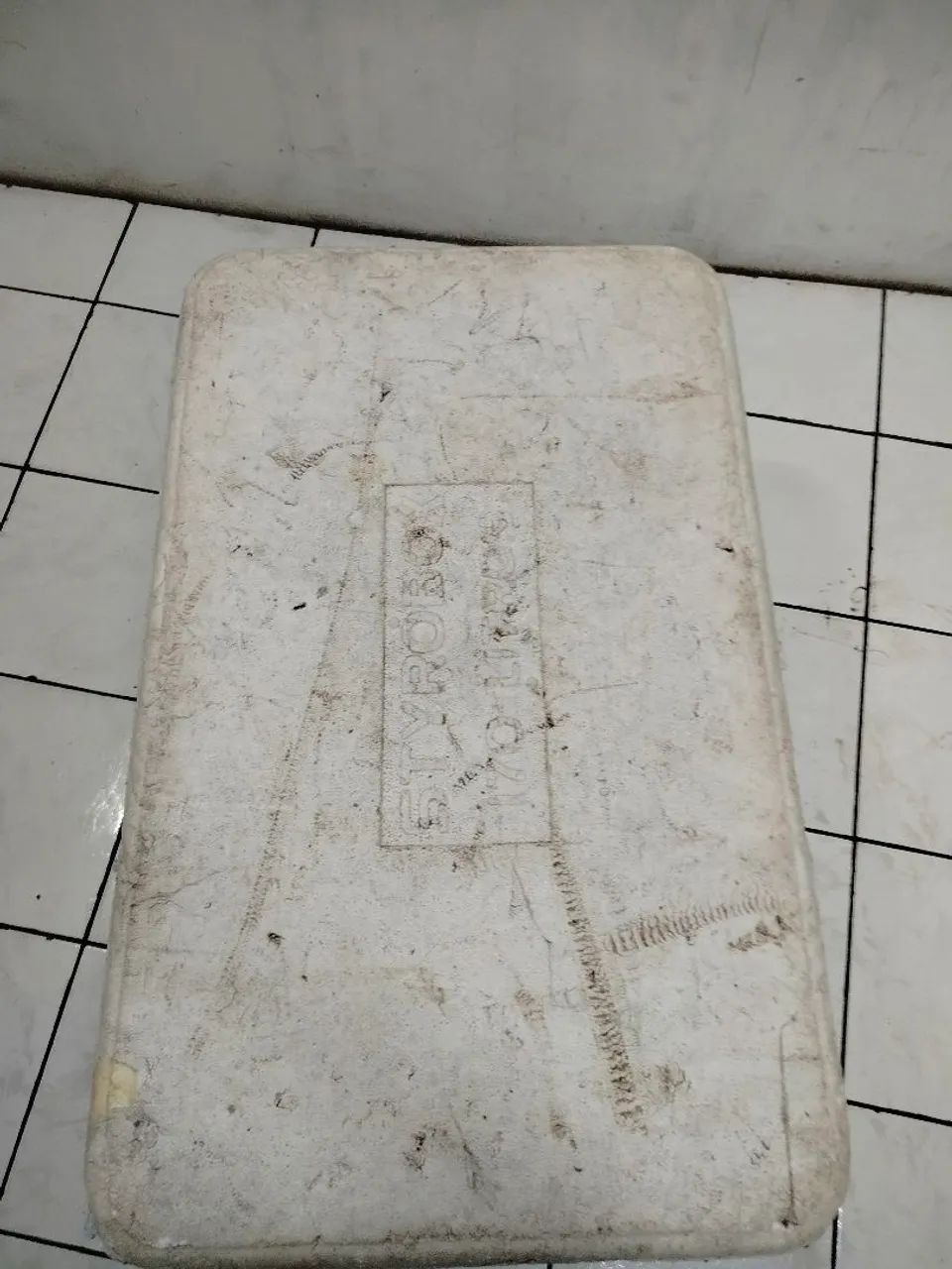 Caixa de isopor  - Foto 2