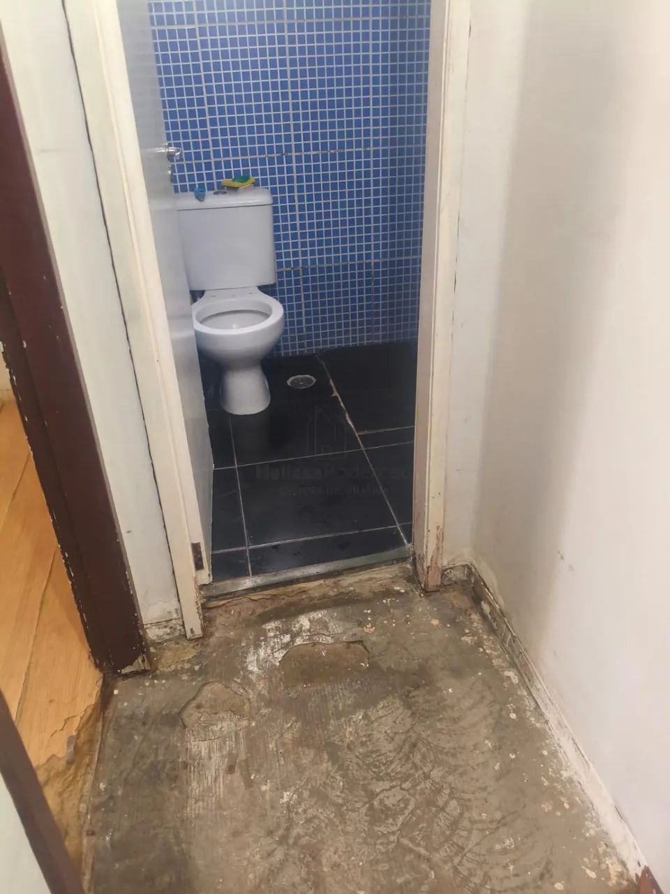 apartamento - Residencial Sírius - Campinas - Foto 2