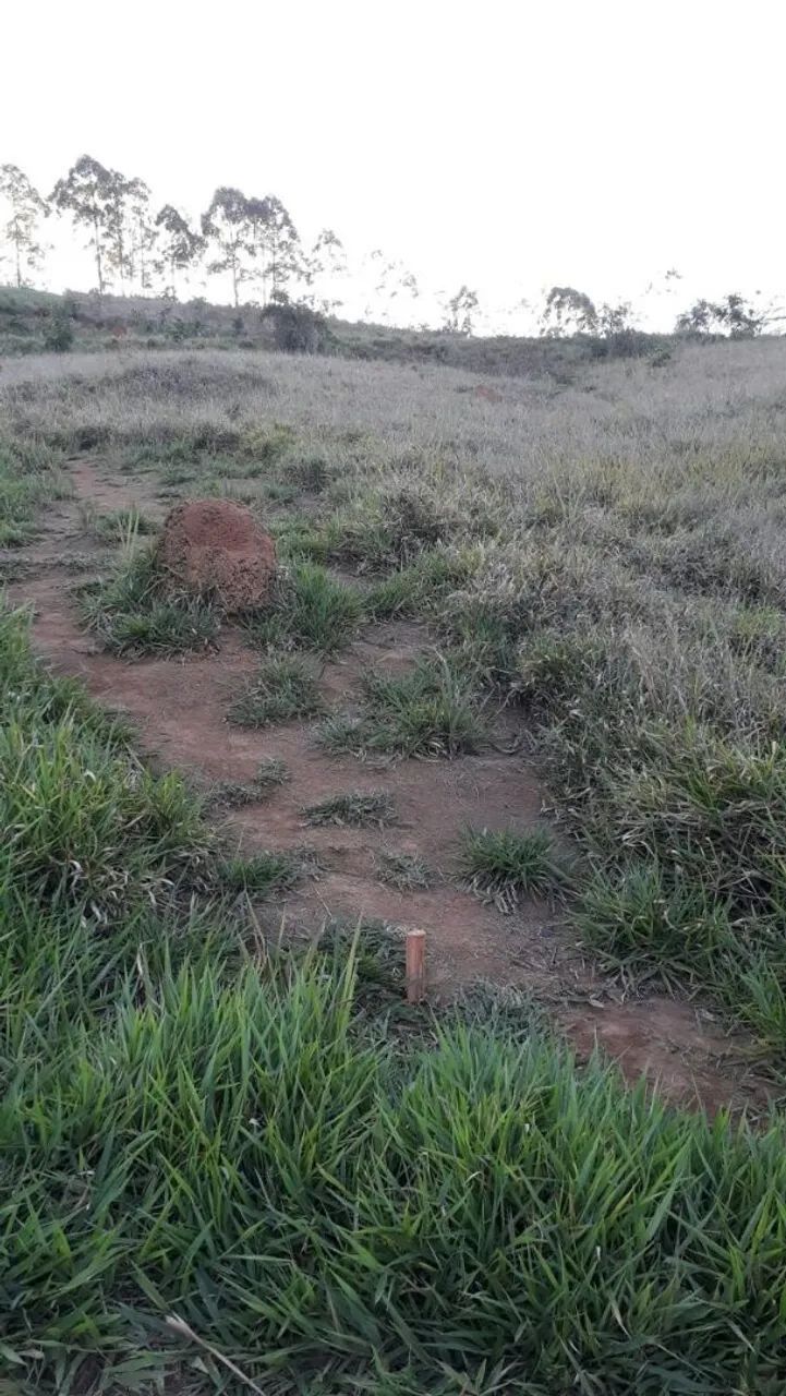 Terreno bairro vila Palmares  - Foto 2