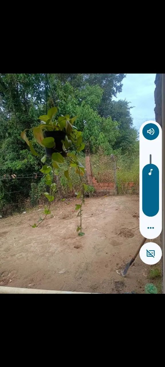 Vendo ou troco casa no jardim colinas2 monte mor  - Foto 3