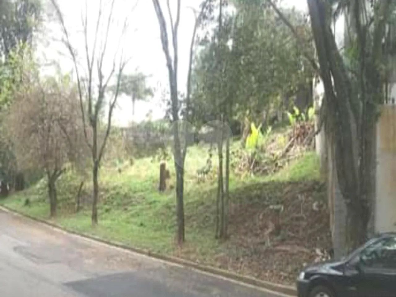 Terreno Residencial em Adalgisa - Foto 3