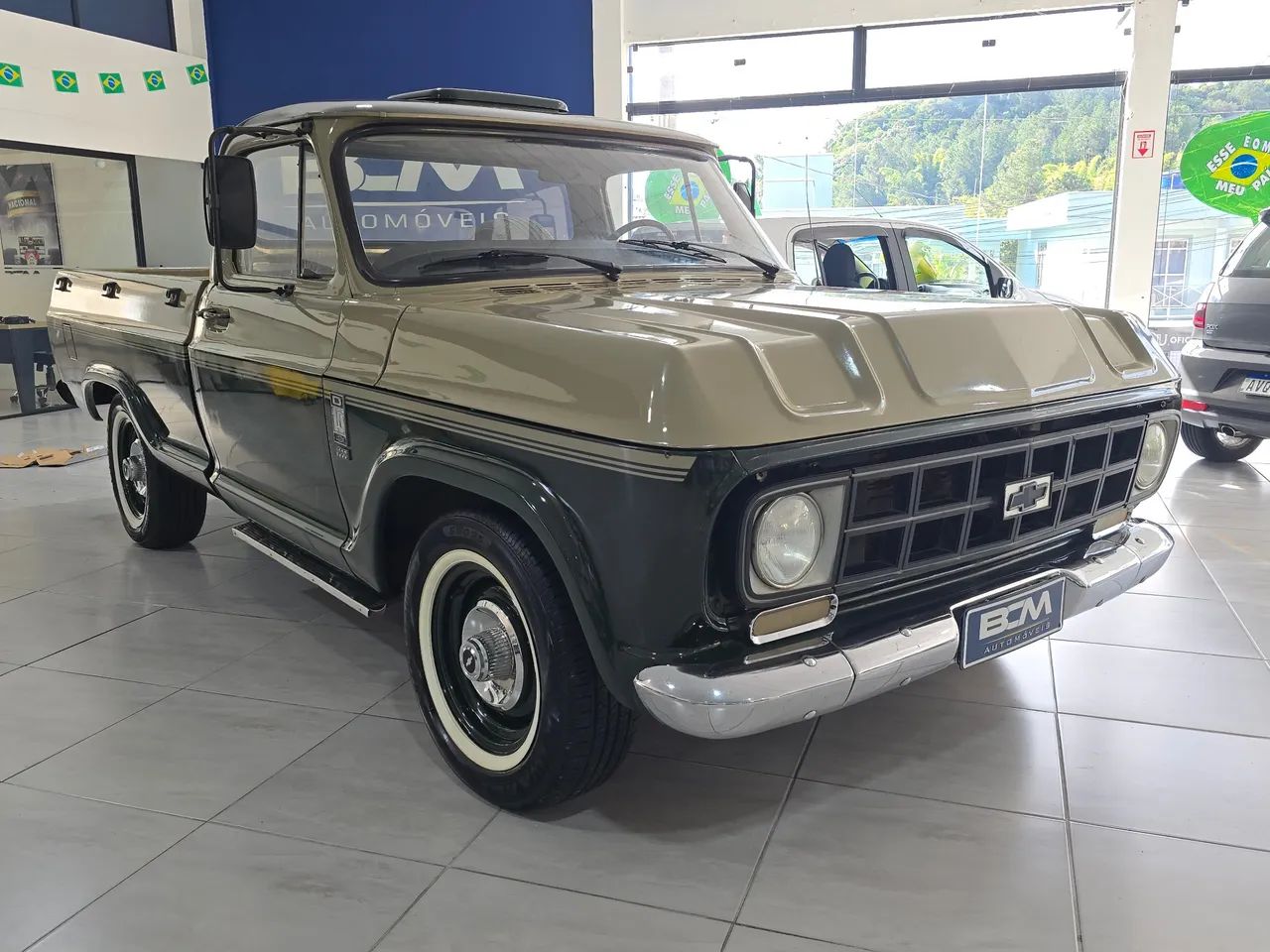 Chevrolet D-10 Diesel 1984 - Foto 5