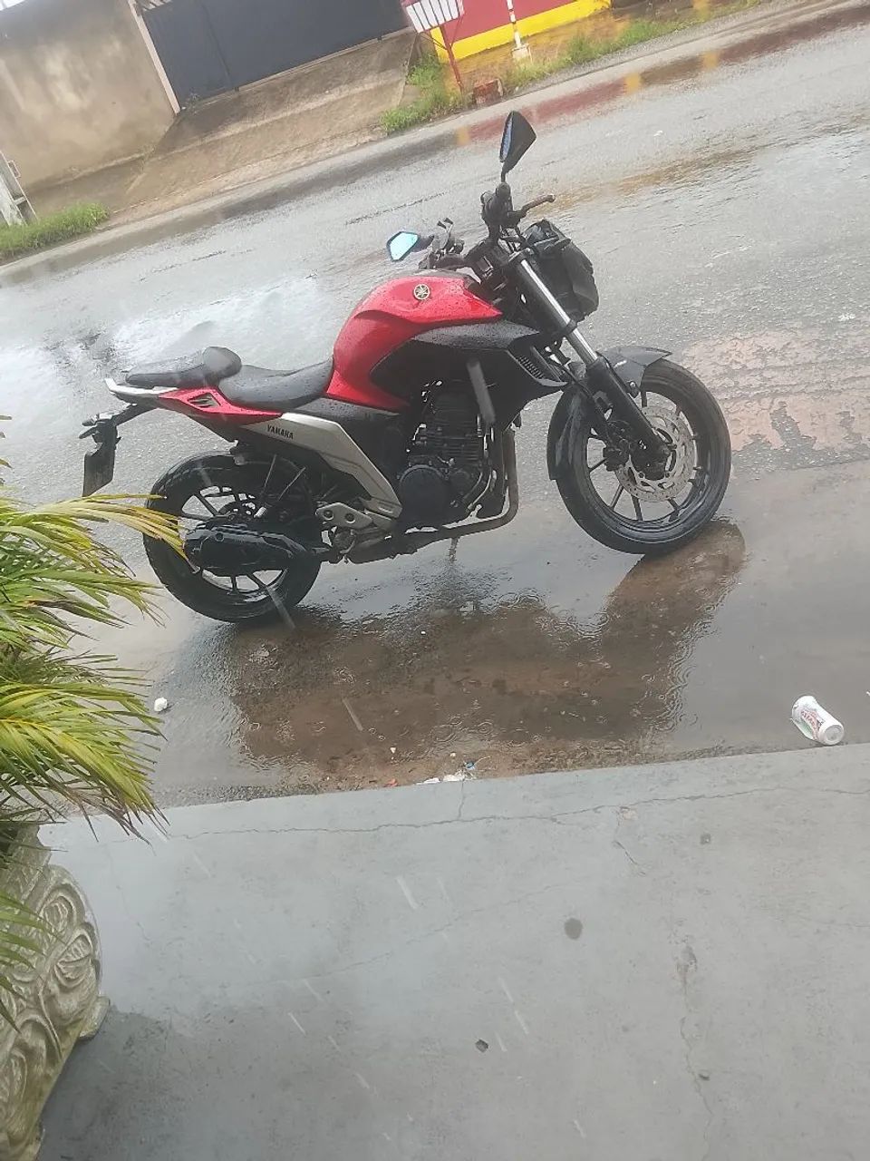 Fz25