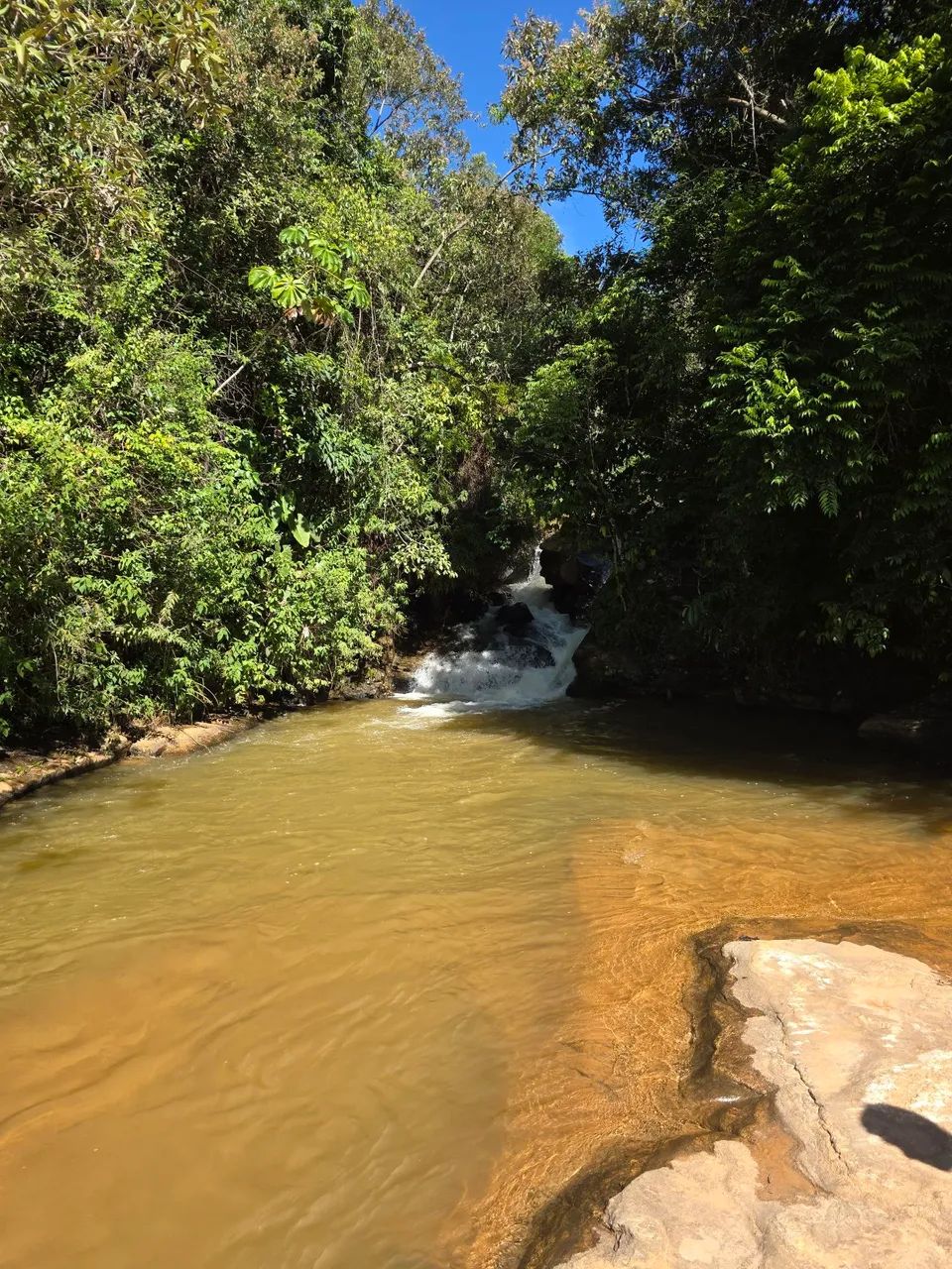 FAZENDA FLORESTA Chácara 4500 metros  - Foto 3