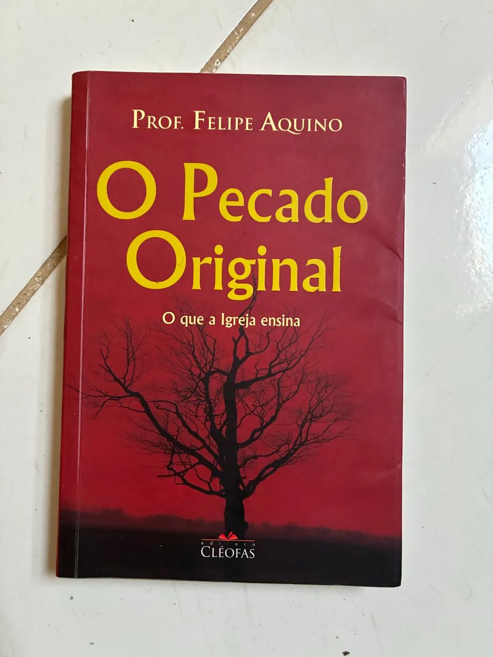 Livro ?o pecado original?
