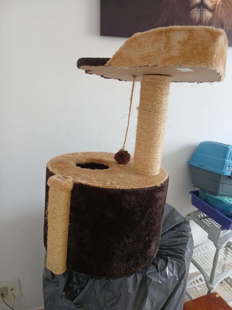 Casa de gatos em perfeito estado - Foto 3
