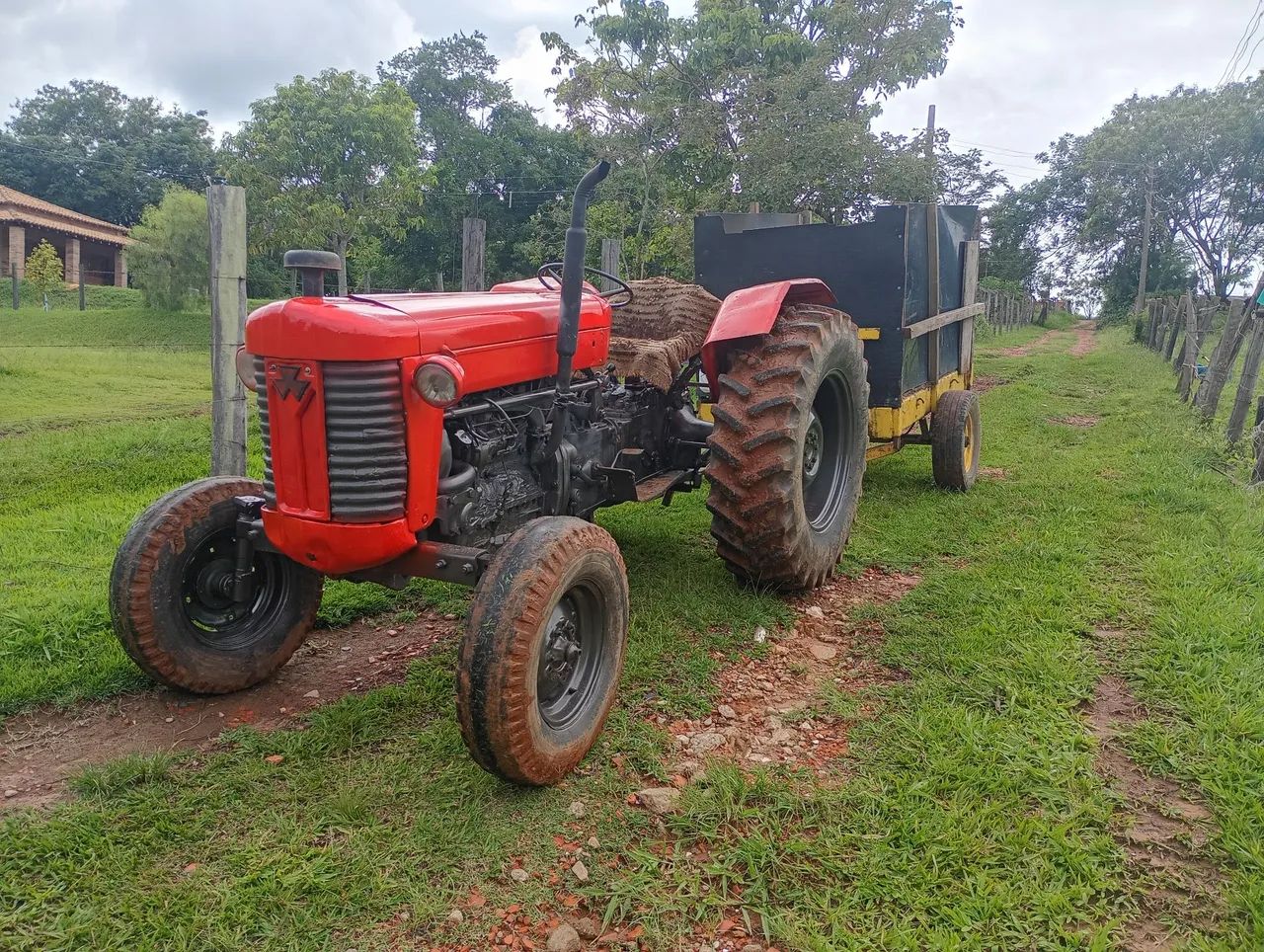 Massey Ferguson 50X 