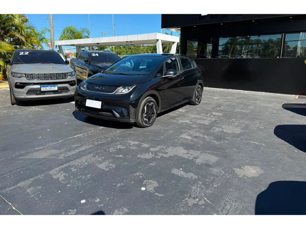 BYD Dolphin EV (Elétrico) 2024 - Foto 3