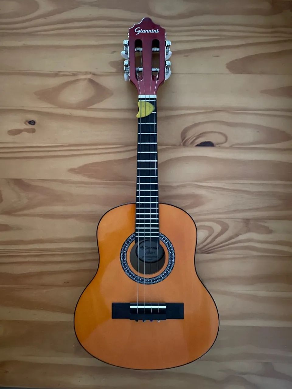 Cavaco Giannini Cs14