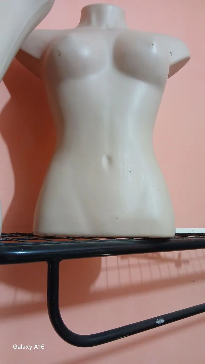 Vendo  30 manequim bustos  25.00 cada  wattssap *  