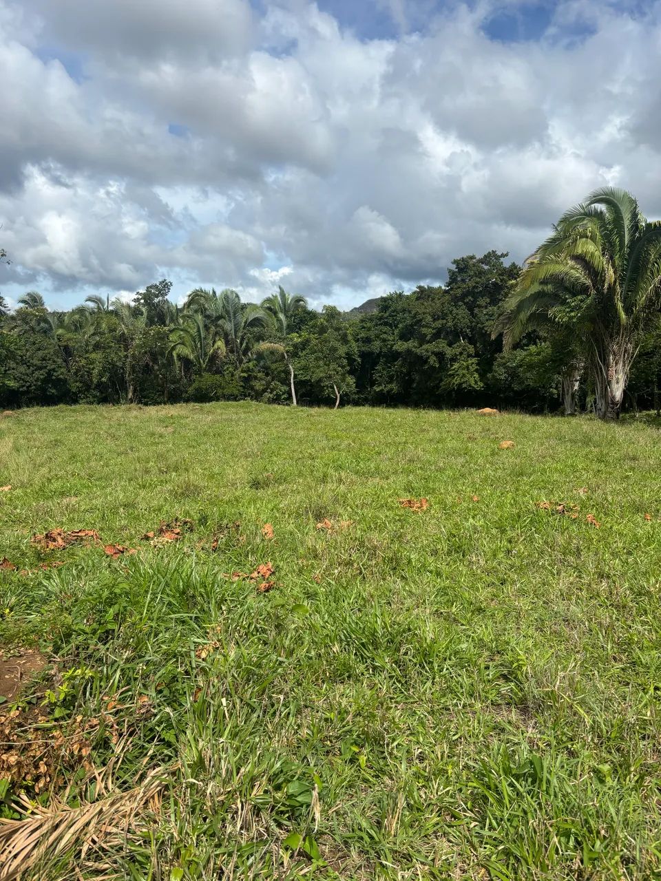 Vendo chácara de 2 Aq. sentido Lajeado  - Foto 5