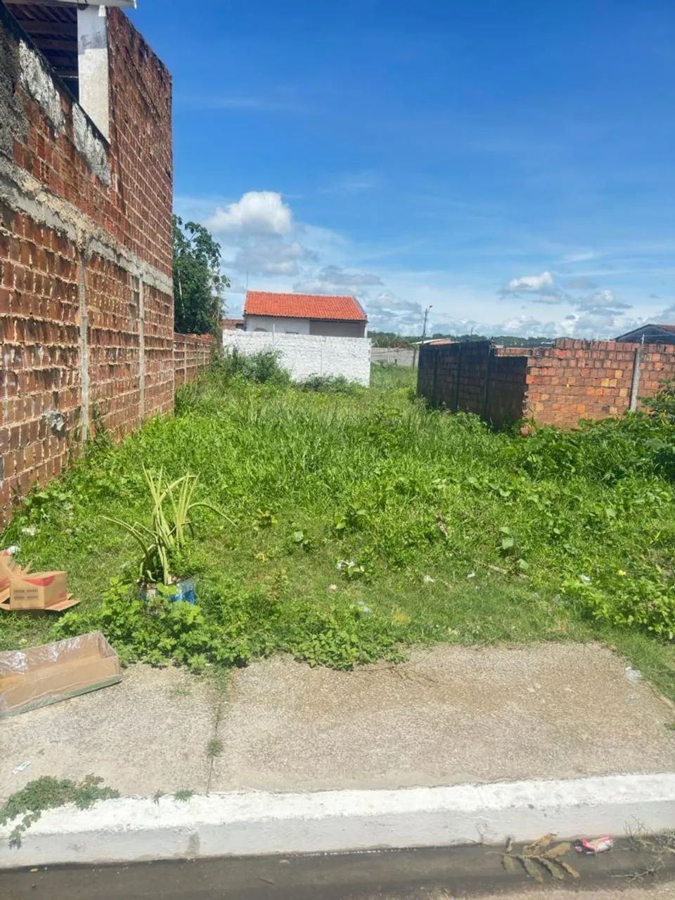 Terreno lot buzios do frances marechal deodoro - Foto 4